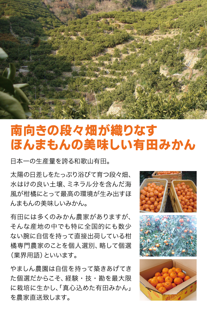 早期先行予約！ こだわりの有田みかん 約8kg＋250g(傷み補償分) 【ご家庭用】【12月発送】 光センサー選別品 農家直送品 ※北海道・沖縄・離島配送不可 / みかん 有田みかん 温州みかん 柑橘 果物 くだもの フルーツ 有田 和歌山 和歌山県産 産地直送 【nuk100-12】 
