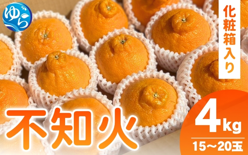 和歌山県産 不知火 4kg （15玉～20玉入り） / 不知火 柑橘  果物 和歌山 ※2027年2月中旬～4月中旬頃に順次発送予定 ※北海道・沖縄・離島配送不可 【 eiw010-r-4】