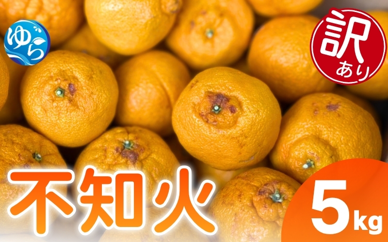 【訳あり】しらぬい 5kg （サイズ混合） / 不知火 柑橘  果物 和歌山 ※2027年2月上旬～3月上旬頃に順次発送予定 ※北海道・沖縄・離島配送不可【eiw010-c-4】