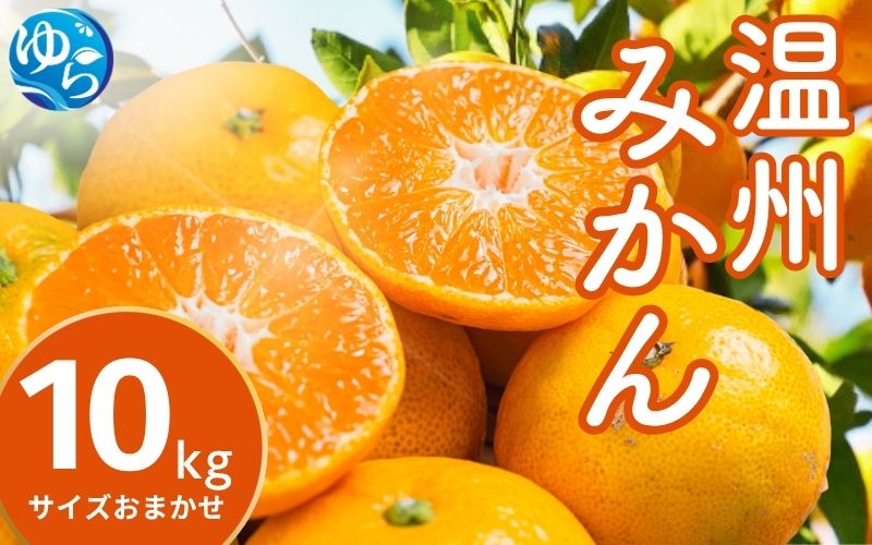 温州みかん 10kg (サイズおまかせ) ※2026年12月中旬～2027年1月下旬に順次発送予定 ※北海道・沖縄・離島配送不可 / ミカン 蜜柑 フルーツ 果物 柑橘 果実 由良町 国産 産地直送 和歌山県 【eiw004-r-10】