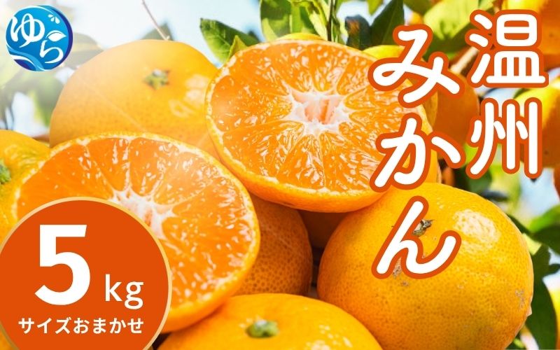 温州みかん 5kg (サイズおまかせ) ※2026年12月中旬～2027年1月下旬に順次発送予定 ※北海道・沖縄・離島配送不可 / ミカン 蜜柑 フルーツ 果物 柑橘 果実 由良町 国産 産地直送 和歌山県【eiw004-r-5】