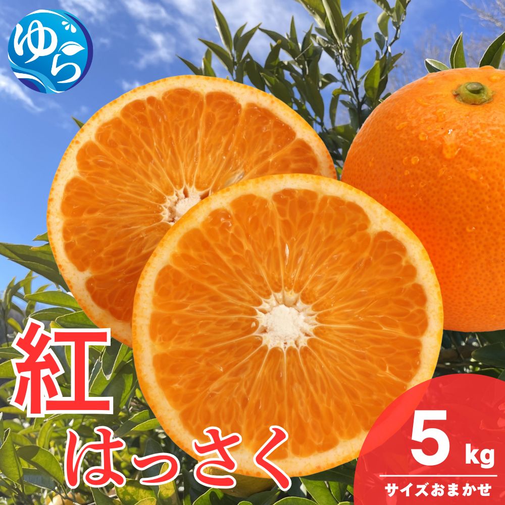 和歌山県産 紅 はっさく 5kg  サイズおまかせ / 八朔 ハッサク 柑橘 果物 和歌山 ※2027年2月中旬～3月中旬に順次発送予定 ※北海道・沖縄・離島配送不可 【eiw021-beni-5】
