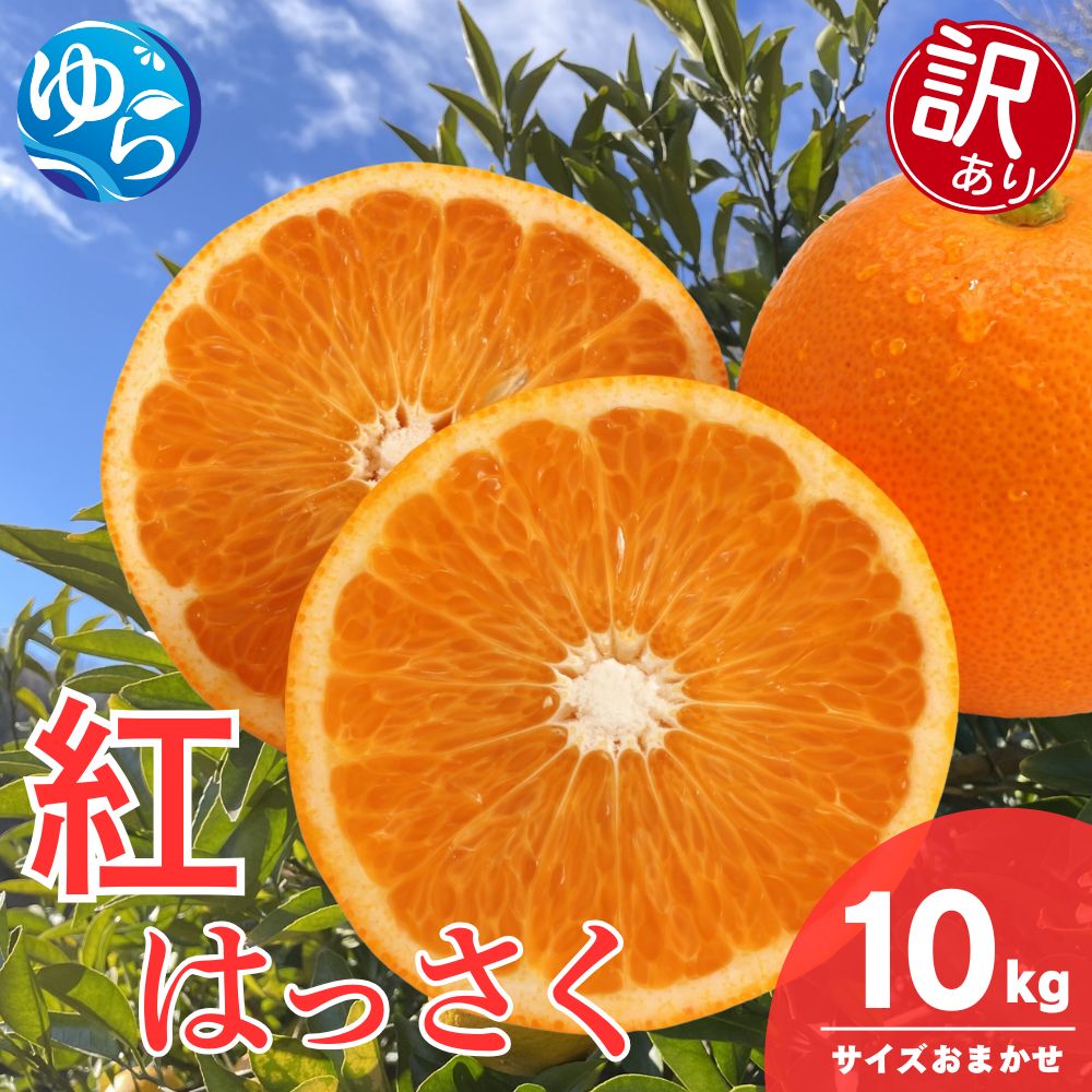 【訳あり】和歌山県産 紅 はっさく（サイズおまかせ） 10kg / 八朔 ハッサク 柑橘 果物 和歌山 ※2027年2月中旬～3月中旬に順次発送 ※北海道・沖縄・離島配送不可 【eiw021-beni-c-10】