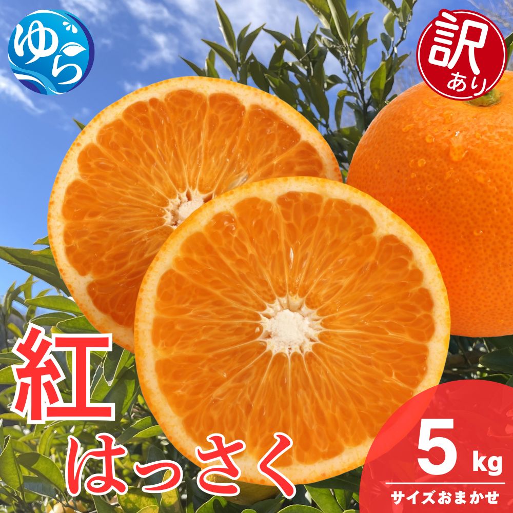 【訳あり】和歌山県産 紅 はっさく（サイズおまかせ） 5kg / 八朔 ハッサク 柑橘 果物 和歌山 ※2027年2月中旬～3月中旬に順次発送 ※北海道・沖縄・離島配送不可 【eiw021-beni-c-5】