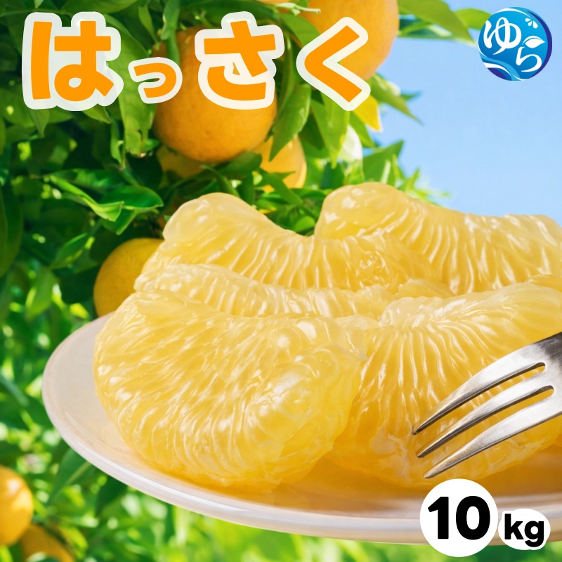 和歌山県産 はっさく 10kg  サイズおまかせ / 八朔 ハッサク 柑橘 果物 和歌山 ※2027年2月中旬～3月中旬に順次発送予定 ※北海道・沖縄・離島配送不可 【eiw021-r-10】