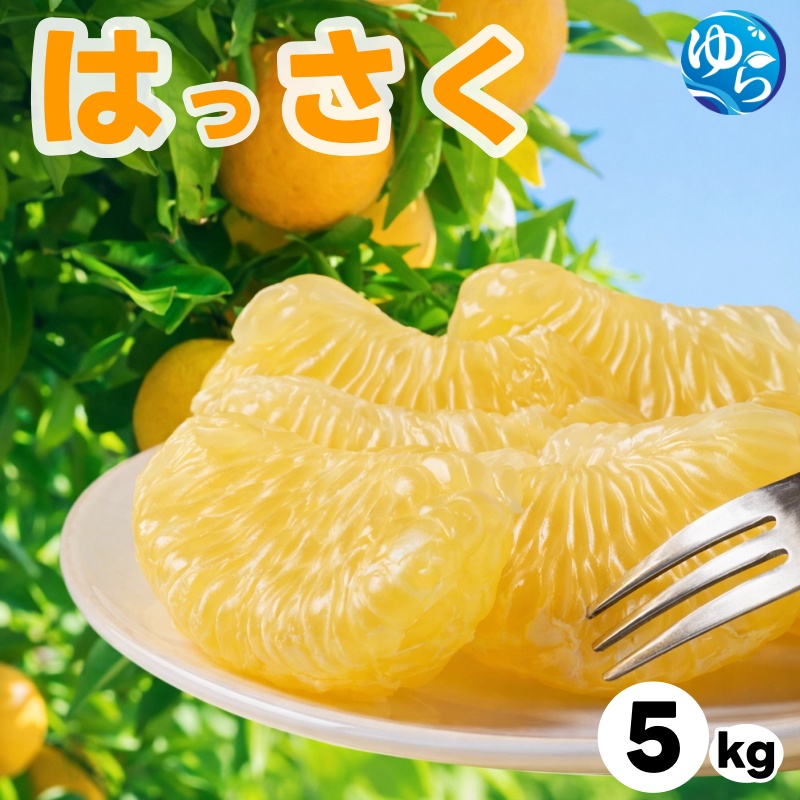 和歌山県産 はっさく 5kg  サイズおまかせ / 八朔 ハッサク 柑橘 果物 和歌山 ※2027年2月中旬～3月中旬に順次発送予定 ※北海道・沖縄・離島配送不可 【eiw021-r-5】