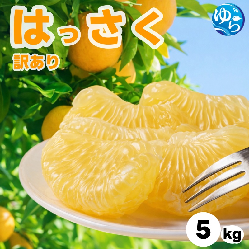 和歌山県産 はっさく 訳あり 5kg  サイズおまかせ / 八朔 ハッサク 柑橘 果物 和歌山 ※2027年2月中旬～3月中旬に順次発送予定 ※北海道・沖縄・離島配送不可 【eiw021-c-5】