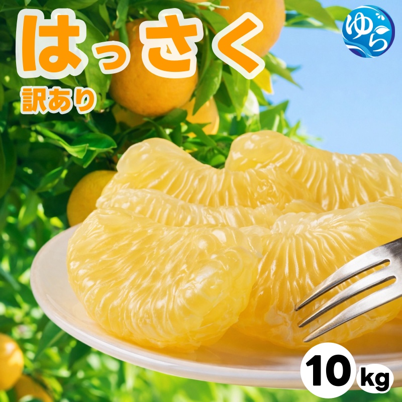 和歌山県産 はっさく 訳あり 10kg  サイズおまかせ / 八朔 ハッサク 柑橘 果物 和歌山 ※2027年2月中旬～3月中旬に順次発送予定 ※北海道・沖縄・離島配送不可 【eiw021-c-10】