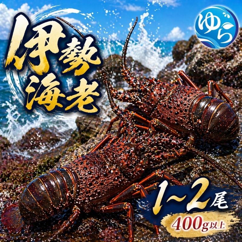 【ふるさと納税】 【活きた状態で発送！】 伊勢海老 紀州 400g以上 / エビ 伊勢 海鮮 和歌山 1尾 ～ 2尾 ※9月中旬～10月下旬に順次発送 ※北海道・沖縄・離島への配送不可 【eiw222-yura-300】