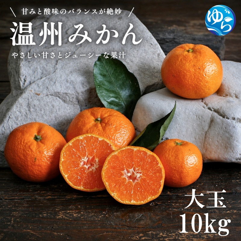 温州みかん 10kg 大玉 サイズ混合 / 温州 みかん 柑橘 由良町 果物 フルーツ 小玉 大玉 サイズ混合 くだもの 産地直送 和歌山 ※2026年11月中旬から12月下旬頃に順次発送【ism004-l-10】