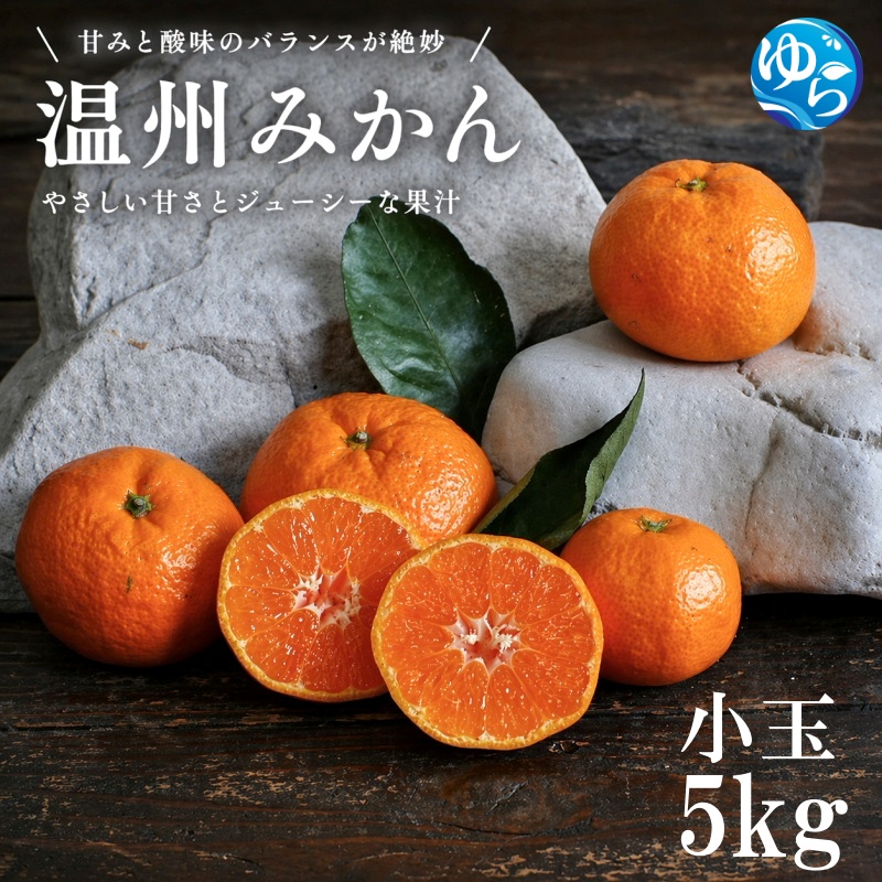 温州みかん 5kg 小玉 サイズ混合 / 温州 みかん 柑橘 由良町 果物 フルーツ 小玉 大玉 サイズ混合 くだもの 産地直送 和歌山 ※2026年11月中旬から12月下旬頃に順次発送【ism004-s-5】