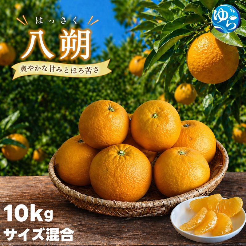 八朔 10kg サイズ混合 秀優品（S～4L）/ はっさく ハッサク 柑橘 由良町 果物 フルーツ くだもの 産地直送 和歌山 ※2027年1月上旬～1月下旬頃に順次発送予定【 ism021-p-10】