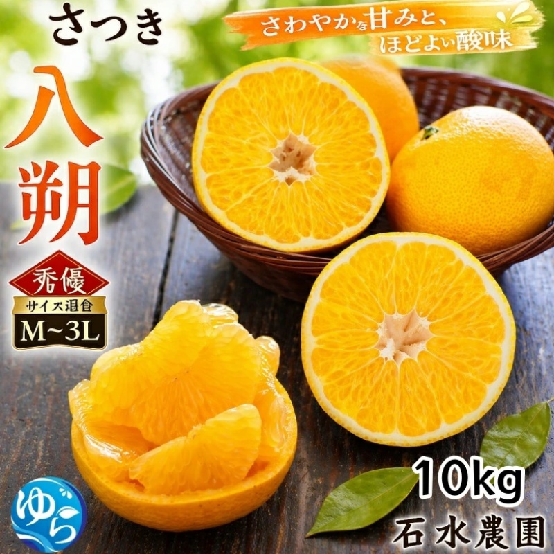 さつき 八朔 10kg / はっさく ハッサク 柑橘 由良町 果物 フルーツ くだもの 産地直送 和歌山 ※2027年3月中旬から4月下旬に順次発送【 ism022-p-10】