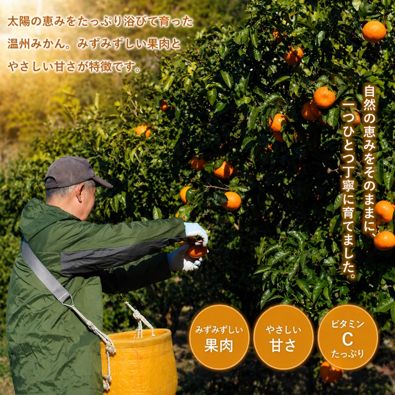 温州みかん 5kg 小玉 サイズ混合 / 温州 みかん 柑橘 由良町 果物 フルーツ 小玉 大玉 サイズ混合 くだもの 産地直送 和歌山 ※2026年11月中旬から12月下旬頃に順次発送【ism004-s-5】