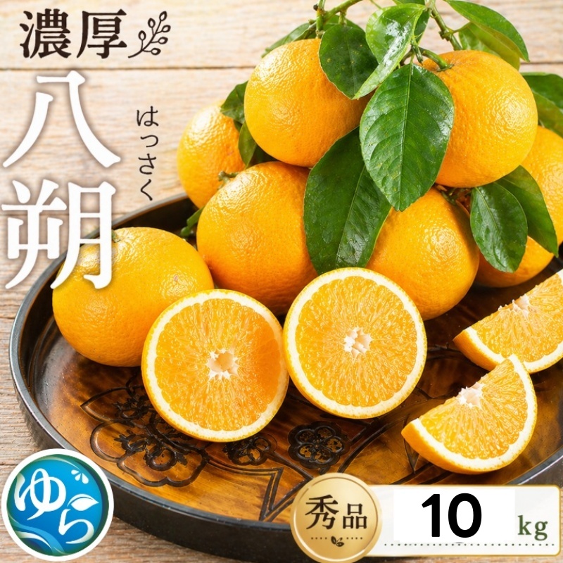 八朔 秀品 10kg サイズおまかせ（2S～L）【2026年2月中旬頃から5月下旬発送予定】 / 柑橘 八朔 秀品 フルーツ くだもの 産地直送 由良町 和歌山【kjen021-p-10】
