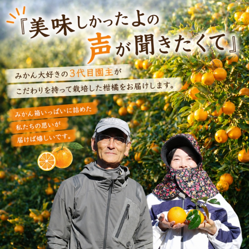 八朔 秀品 10kg サイズおまかせ（2S～L）【2026年2月中旬頃から5月下旬発送予定】 / 柑橘 八朔 秀品 フルーツ くだもの 産地直送 由良町 和歌山【kjen021-p-10】