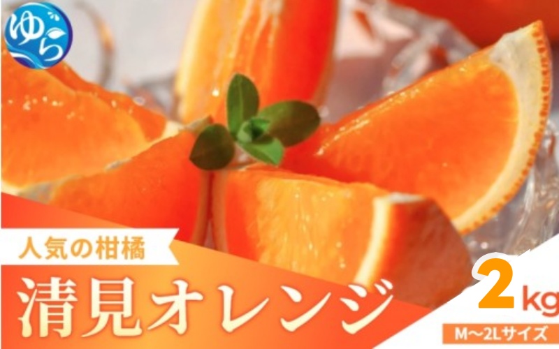 家庭用 清見オレンジ 2kg / 清見 みかん 晩柑 人気 柑橘  蜜柑 フルーツ 果物 食品 人気 送料無料 産地直送 和歌山県 由良町  ※2月下旬～3月下旬頃に順次発送予定【kzmn011-c-2】