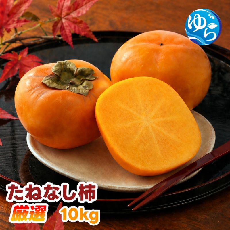 【ふるさと納税】 たねなし柿 10kg 厳選 / 柿 刀根早生 平核無柿 富有柿 ※2026年9月下旬から11月上旬に順次発送 ※北海道・沖縄・離島への配送不可  【ikd504-p-10】