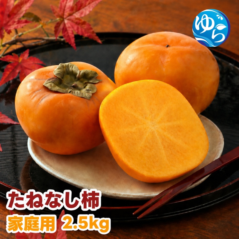 【ふるさと納税】 たねなし柿 2.5kg 家庭用 / 柿 刀根早生 平核無柿 富有柿 ※2026年9月下旬から11月上旬に順次発送 ※北海道・沖縄・離島への配送不可  【ikd504-c-2d5】