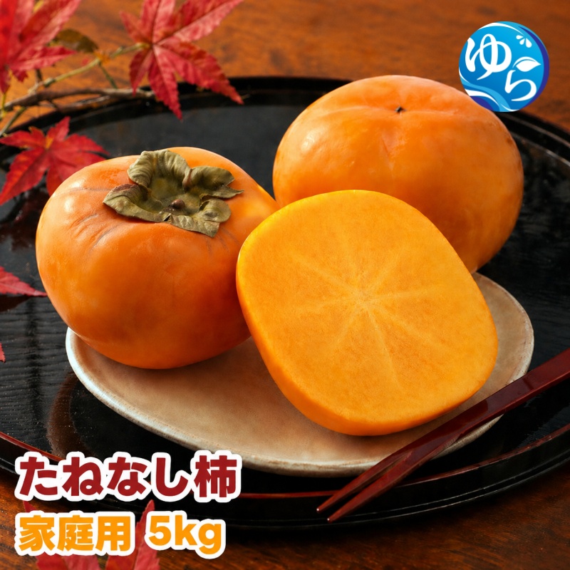 【ふるさと納税】 たねなし柿 5kg 家庭用 / 柿 刀根早生 平核無柿 富有柿 ※2026年9月下旬から11月上旬に順次発送 ※北海道・沖縄・離島への配送不可  【ikd504-c-5】
