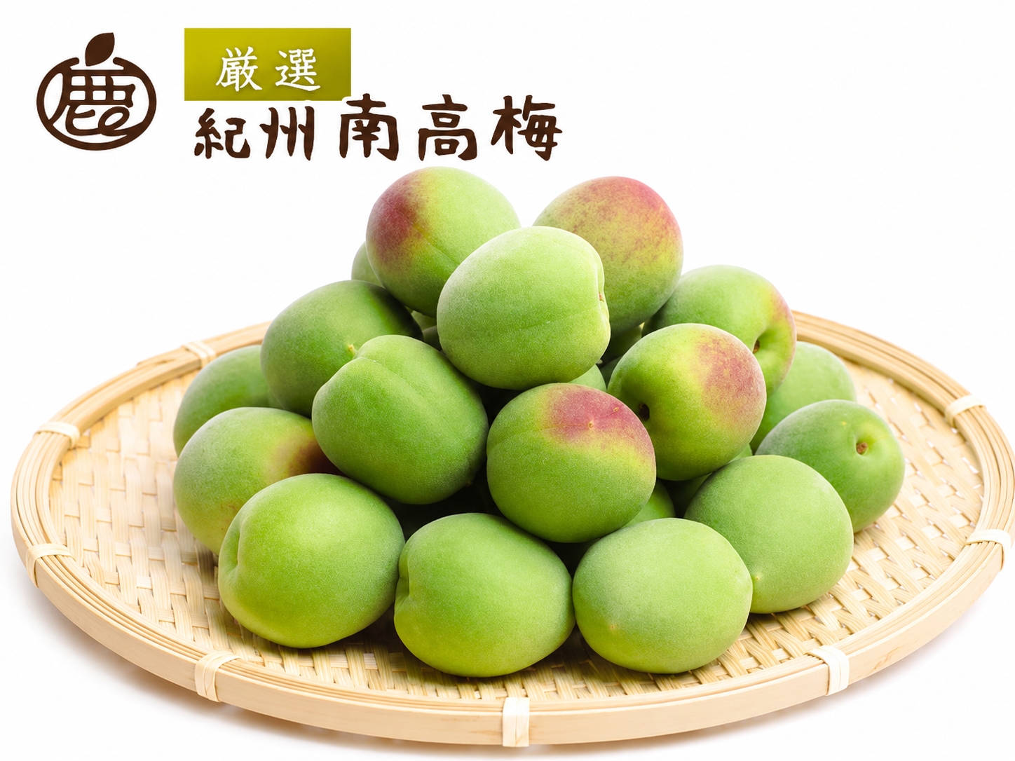 厳選 青梅  南高梅 10kg+250g / 梅 梅シロップ 梅酒 梅干し 和歌山 紀州 ※2026年5月下旬～7月上旬に順次発送予定 ※北海道・沖縄・離島への配送不可 【ikd508-p-10G】