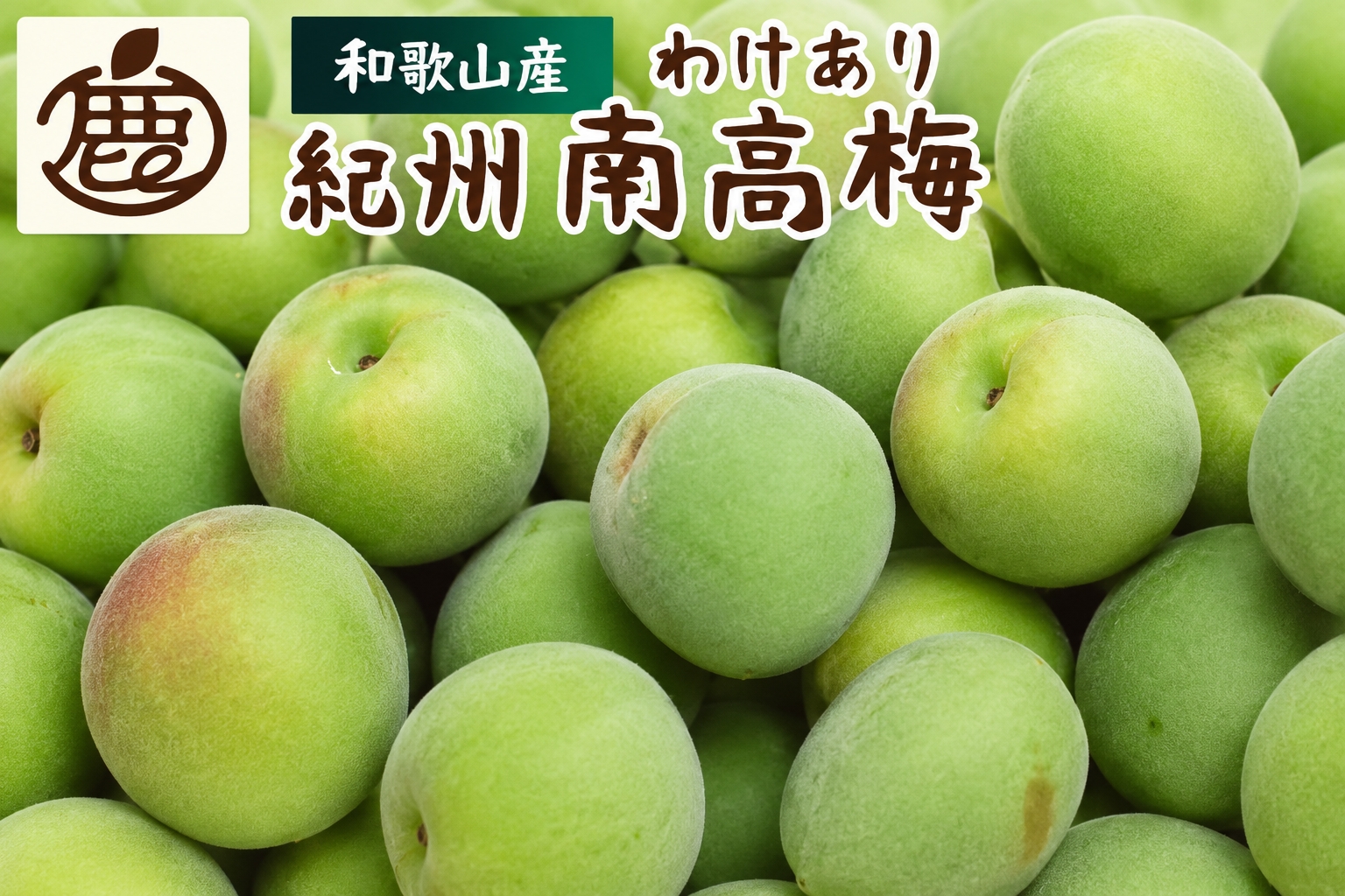家庭用 青梅  南高梅 3kg+250g / 梅 梅シロップ 梅酒 梅干し 和歌山 紀州 ※2026年5月下旬～7月上旬に順次発送予定 ※北海道・沖縄・離島への配送不可 【ikd508-c-3H】