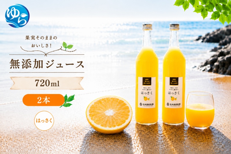 はっさく 100% ジュース / 八朔 ストレート 果汁 無添加 柑橘 和歌山 7000円 720ml ※北海道・沖縄・離島への配送不可 //drink [ikd100-has720-2A]
