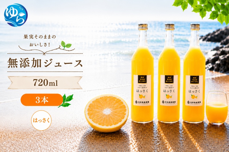 はっさく 100% ジュース / 八朔 ストレート 果汁 無添加 柑橘 和歌山 11000円 720ml ※北海道・沖縄・離島への配送不可 //drink [ikd100-has720-3]