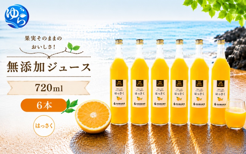 はっさく 100% ジュース / 八朔 ストレート 果汁 無添加 柑橘 和歌山 18000円 720ml ※北海道・沖縄・離島への配送不可 //drink [ikd100-has720-6]