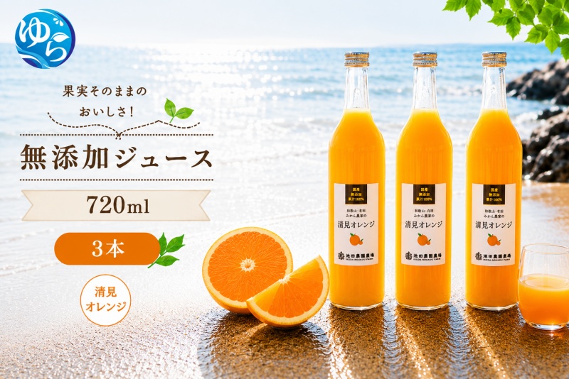 清見 オレンジ 100% ジュース / 清見オレンジ ストレート 果汁 無添加 柑橘 和歌山 12000円 720ml ※北海道・沖縄・離島への配送不可 //drink [ikd100-kiy720-3]