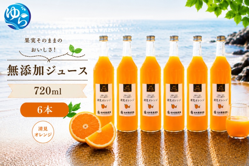 清見 オレンジ 100% ジュース / 清見オレンジ ストレート 果汁 無添加 柑橘 和歌山 18000円 720ml ※北海道・沖縄・離島への配送不可 //drink [ikd100-kiy720-6]