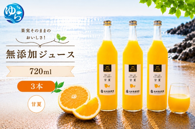 甘夏 100% ジュース / 甘夏 ストレート 果汁 無添加 柑橘 和歌山 11000円 720ml ※北海道・沖縄・離島への配送不可 //drink [ikd100-ama720-3]