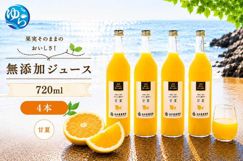甘夏 100% ジュース / 甘夏 ストレート 果汁 無添加 柑橘 和歌山 14000円 720ml ※北海道・沖縄・離島への配送不可 //drink 【ikd100-ama720-4】