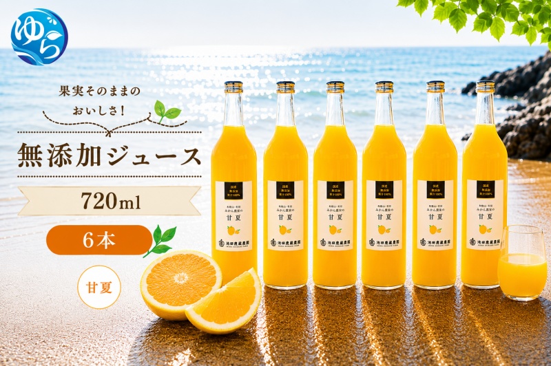 甘夏 100% ジュース / 甘夏 ストレート 果汁 無添加 柑橘 和歌山 18000円 720ml ※北海道・沖縄・離島への配送不可 //drink [ikd100-ama720-6]