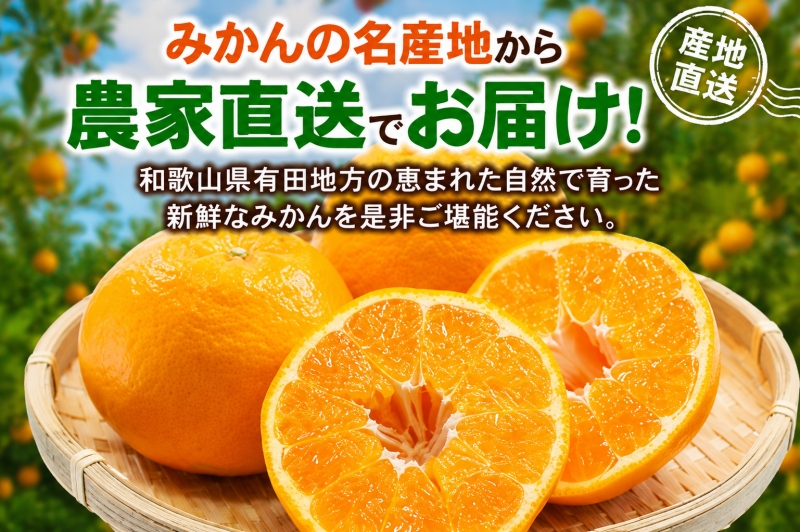 【先行予約】 家庭用 はるみ 訳あり 2.5kg+250g（傷み補償分）/ 春 みかん 光センサー選別 ※2027年2月上旬〜3月下旬ごろに順次発送予定 ※北海道・沖縄・離島への配送不可  【ikd013-c-2d5B】