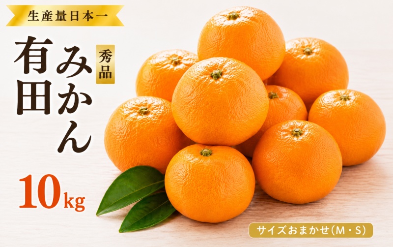 特選 紀州 有田 みかん 10kg サイズおまかせ(М・Ｓ)  ※2026年12月上旬～下旬頃発送予定（お届け日指定不可）/ 温州みかん 有田みかん 甘い 高級 和歌山 柑橘【sml004-p-10】