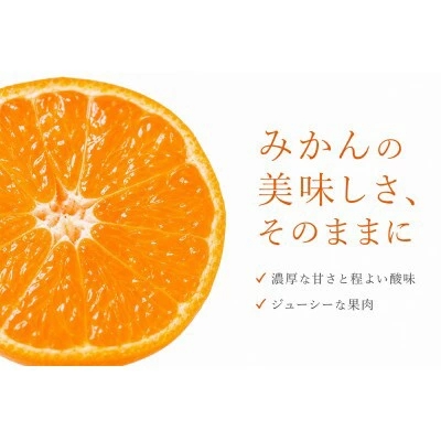 和歌山 有田 みかん 10kg 訳あり ご家庭用 2S～2Lサイズ混合 / 有田みかん 甘い 柑橘 和歌山 ※2026年11月下旬頃～12月下旬頃に順次発送予定【uot004-c-10】