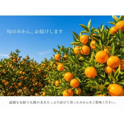 和歌山 有田 みかん 10kg 訳あり ご家庭用 2S～2Lサイズ混合 / 有田みかん 甘い 柑橘 和歌山 ※2026年11月下旬頃～12月下旬頃に順次発送予定【uot004-c-10】