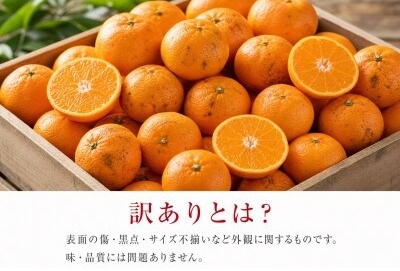 和歌山 有田 みかん 10kg 訳あり ご家庭用 2S～2Lサイズ混合 / 有田みかん 甘い 柑橘 和歌山 ※2026年11月下旬頃～12月下旬頃に順次発送予定【uot004-c-10】