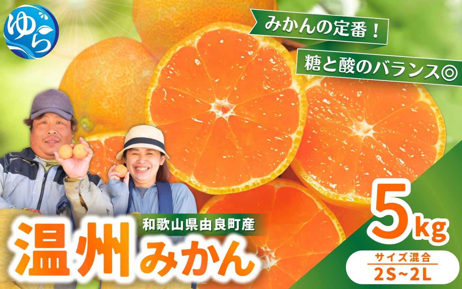 温州みかん 5kg 2S〜2Lサイズ混合 12月発送 / 温州 ミカン 農家直送　完熟 密柑 くだもの  果実  柑橘 果物 フルーツ 和歌山県 由良町 人気 おすすめ 産地直送 ※2026年12月上旬頃～12月下旬頃に順次発送予定【nktn004-cm-5-dec】