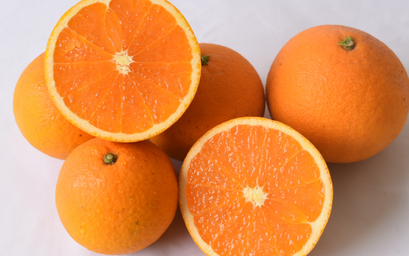 ãææ© å®æäŸ¿ãäžè°·ã¿ããå³éžïŒæ©æå®æäŸ¿å
š3åïŒã¯ãã¿ã¿ããã»æž
çŸãªã¬ã³ãžã»ã«ã©ãã³ããªã³ïŒ / ãã ãã® æå® ææ© æç© ãã«ãŒã åœç£ åæå±±ç ç±è¯çº äººæ° ãããã ææ© ããã〠ã¿ãã ãããã ãªã¬ã³ãž ãããŸãã ãã æž
èŠ ããã¿ ã¯ãã¿ ç±è¯ãnktn-tkb002ã