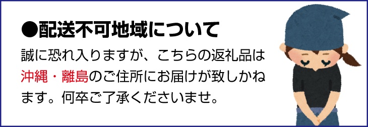 【来シーズン先行予約】セミノール 2kg   ※2026年4月上中旬〜順次発送 /  みかん 晩柑 人気 柑橘 スマイルカット  蜜柑 フルーツ 果物 くだもの 食品 人気 おすすめ 送料無料 産地直送 和歌山県 由良町【kzmn023】