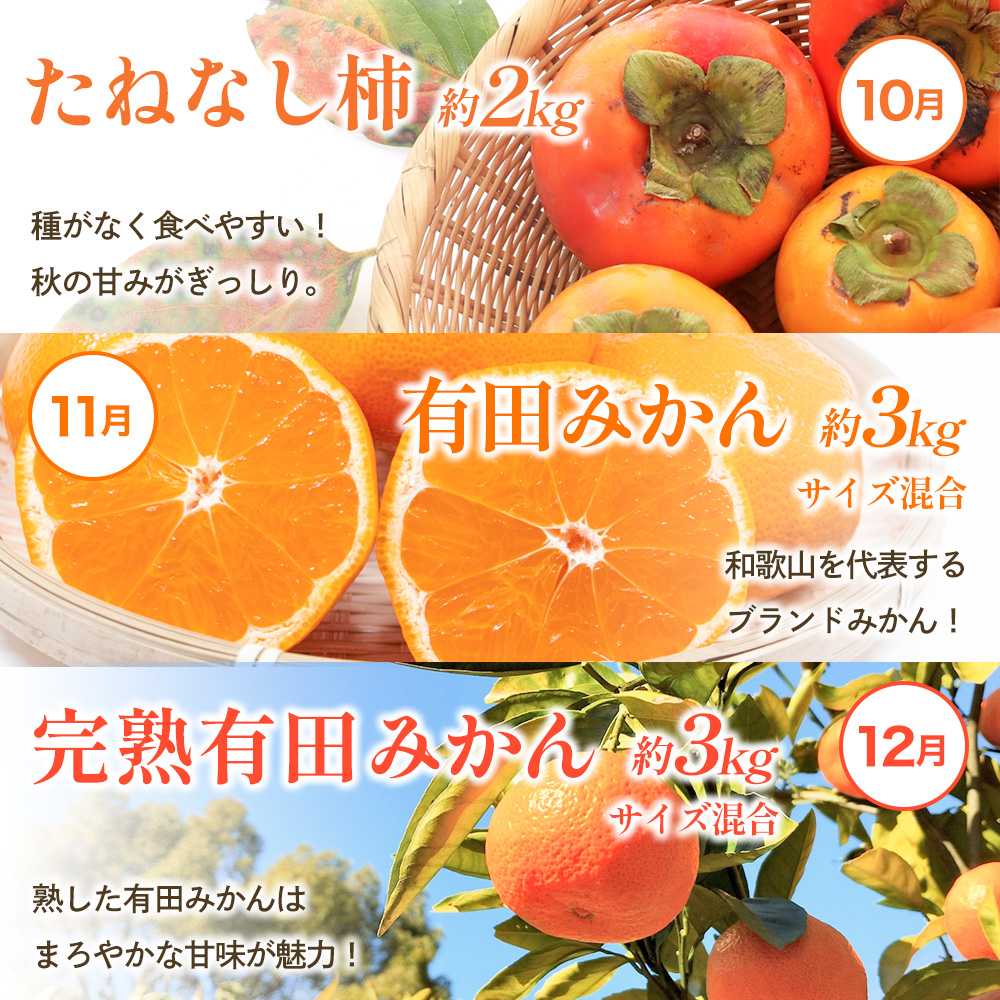 わかやま旬のくだもの定期便　全12回【Ｓ】※北海道・沖縄・離島への配送不可 （配送日時指定不可） / 定期便 フルーツ みかん いちご イチゴ 清見オレンジ セミノール 河内晩柑 カラマンダリン すいか 桃 ジュース 柿 柑橘 12回 和歌山【ard-tkb901A】 