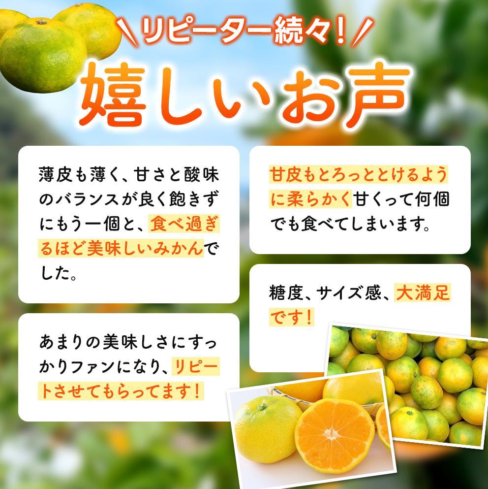 完熟ゆら早生みかん 5kg ※2026年11月上旬頃より順次発送予定 / 希少品種 和歌山県 柑橘 みかん 甘い 蜜柑 フルーツ 果物 くだもの 食品 人気 晩柑 おすすめ 送料無料 産地直送 由良町【kzmn004-kan-5】 