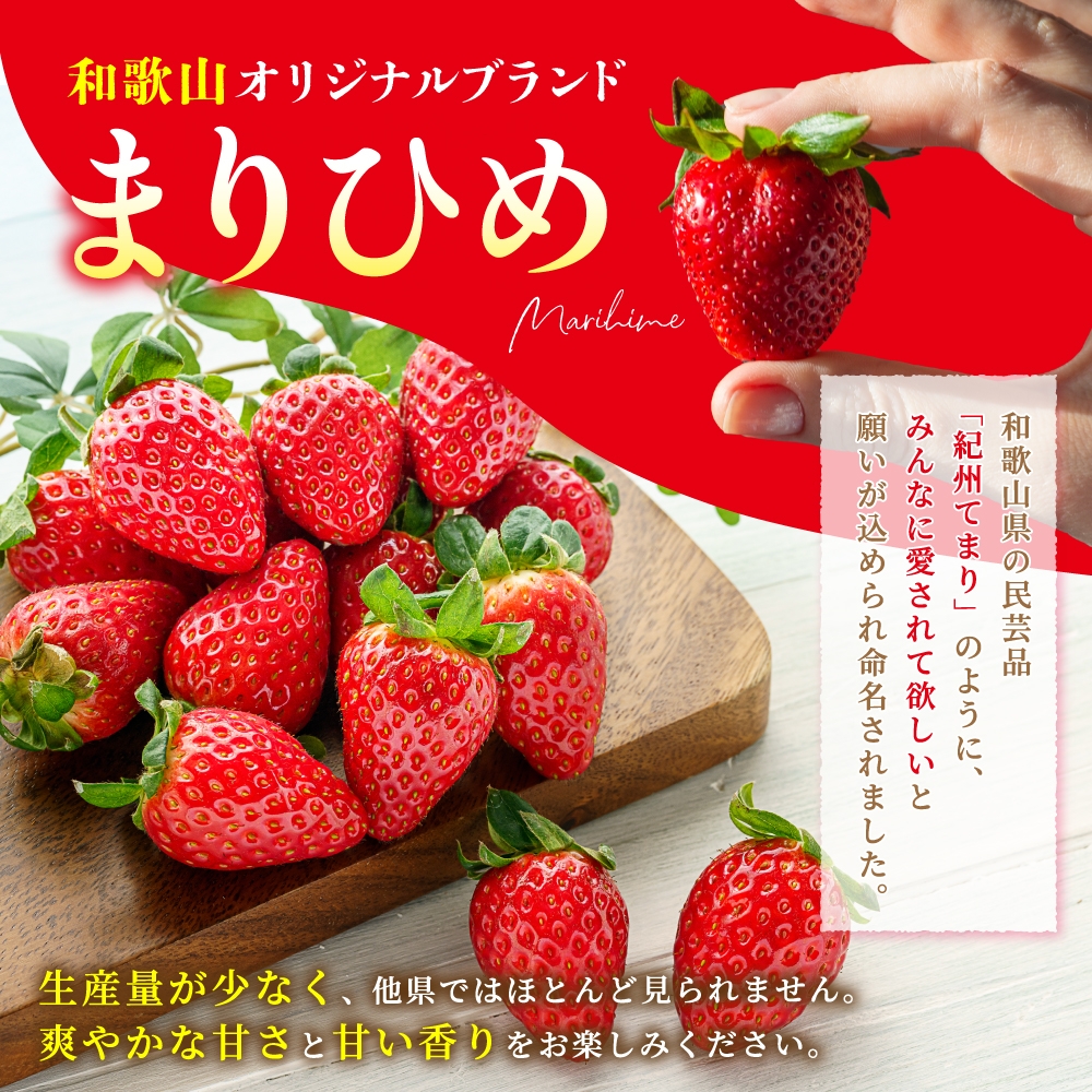 【先行予約】まりひめイチゴ L〜２L 12粒〜15粒×2パック【2026年1月中旬から発送】【先行販売】【KG7】【kgr007A】