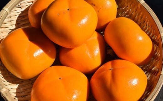 【秋の味覚】和歌山産たねなし柿2L～4Lサイズ 約2kg（化粧箱入り）★2025年9月中旬頃より順次発送【TM39】【tec408】