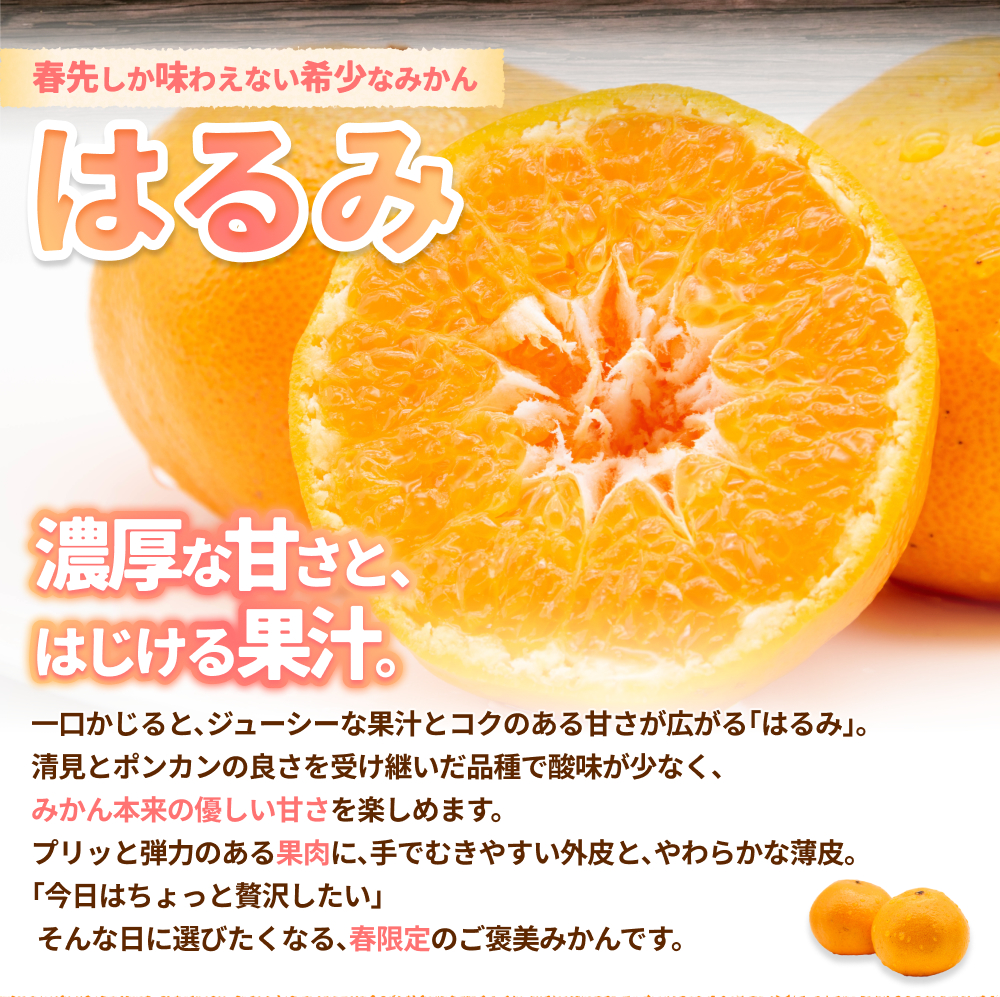 ã¯ãã¿ ã¿ãã çŽ10kg Sïœ4Lãµã€ãºæ··å â»2026幎2æäžæ¬ïœé 次çºé蟲家çŽé / æ©æ ãã ãã® æå® ææ© æç© ãã«ãŒã åœç£ åæå±± ç±è¯ äººæ° ãããããnktn013ã