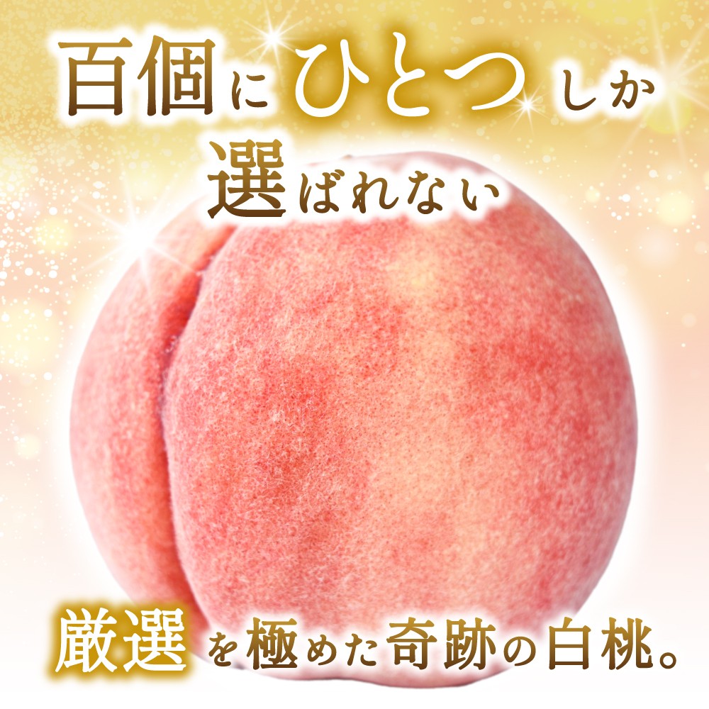 【2026年発送分先行予約】数量限定！【モモ】川中島白桃 約2kg 6個入 100個に1個の特選最上級秀品！ こだわり農家厳選！【2026年7月末から8月末順次発送】/ 和歌山県 もも 桃 高級 贅沢 特選 【kgr036】 