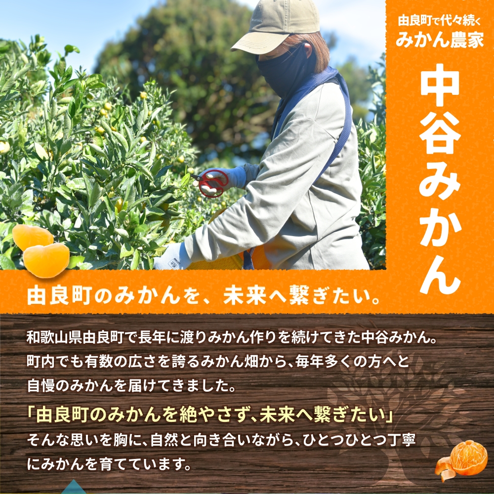 ã¯ãã¿ ã¿ãã çŽ10kg Sïœ4Lãµã€ãºæ··å â»2026幎2æäžæ¬ïœé 次çºé蟲家çŽé / æ©æ ãã ãã® æå® ææ© æç© ãã«ãŒã åœç£ åæå±± ç±è¯ äººæ° ãããããnktn013ã