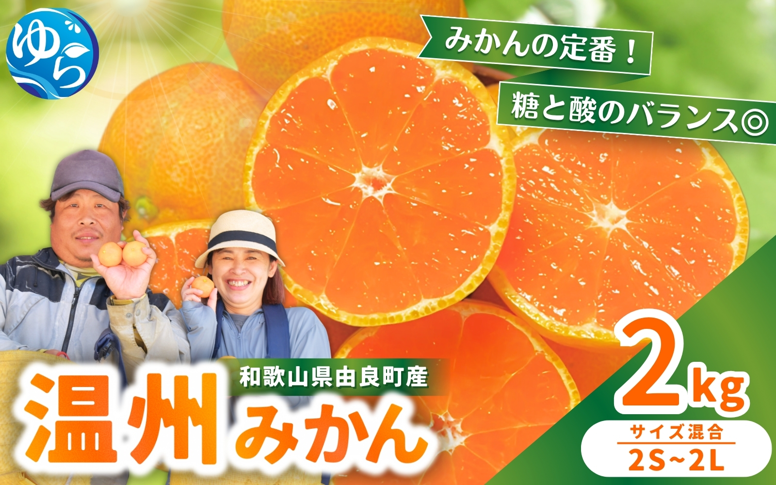 温州みかん 約2kg 2S〜2Lサイズ混合 ※2025年12月上旬〜順次発送 / 温州 ミカン 農家直送　完熟 密柑 くだもの  果実  柑橘 果物 フルーツ 和歌山県 由良町 人気 おすすめ 産地直送【nktn015-sp-12】